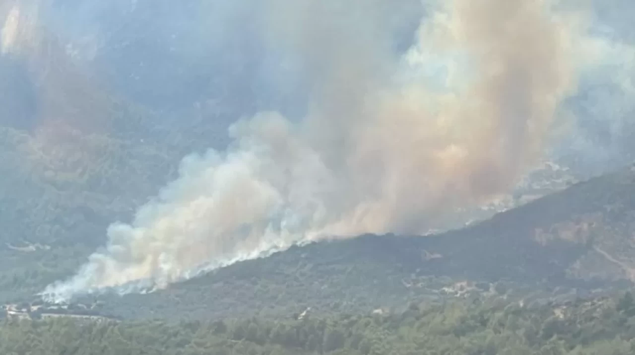 Muğla'da yangın: Kısa sürede büyüdü!