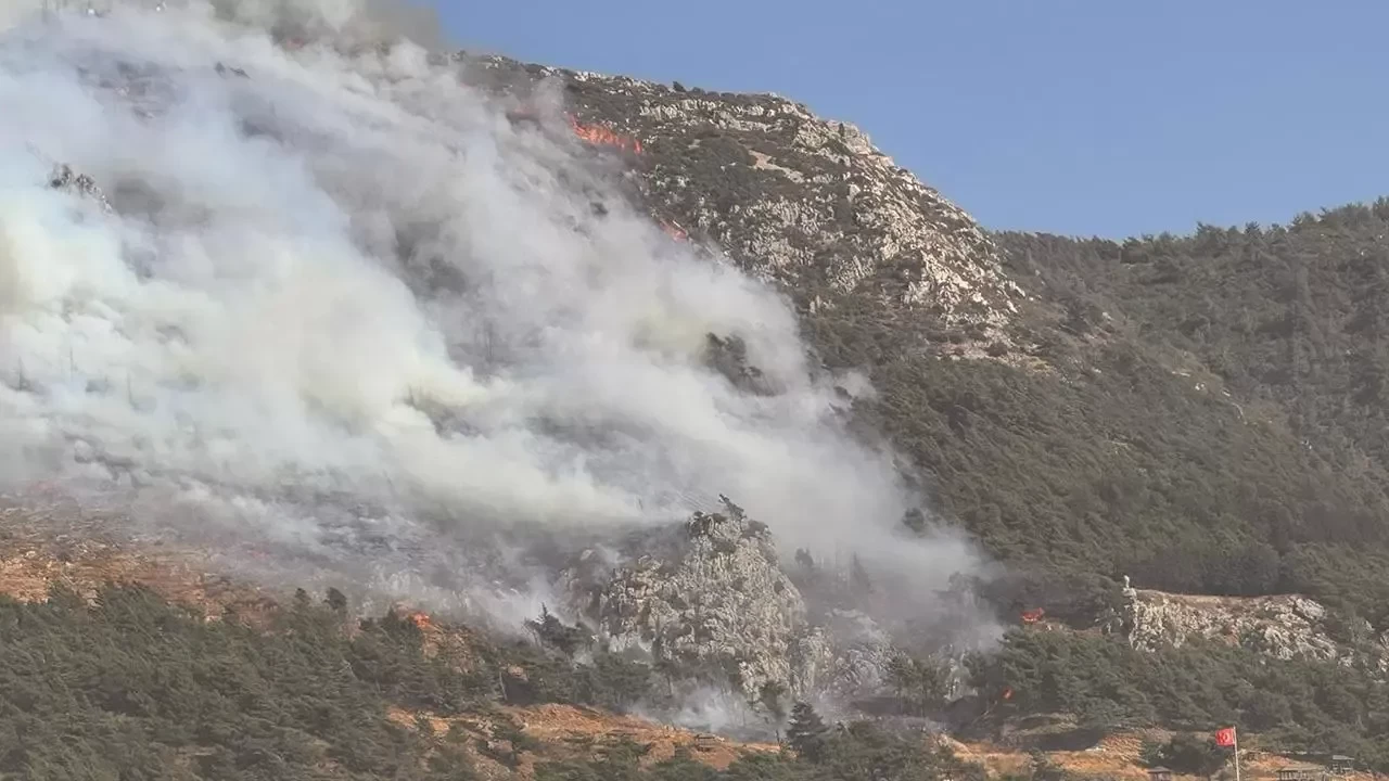 Hatay'da ormanlık alanda yangın