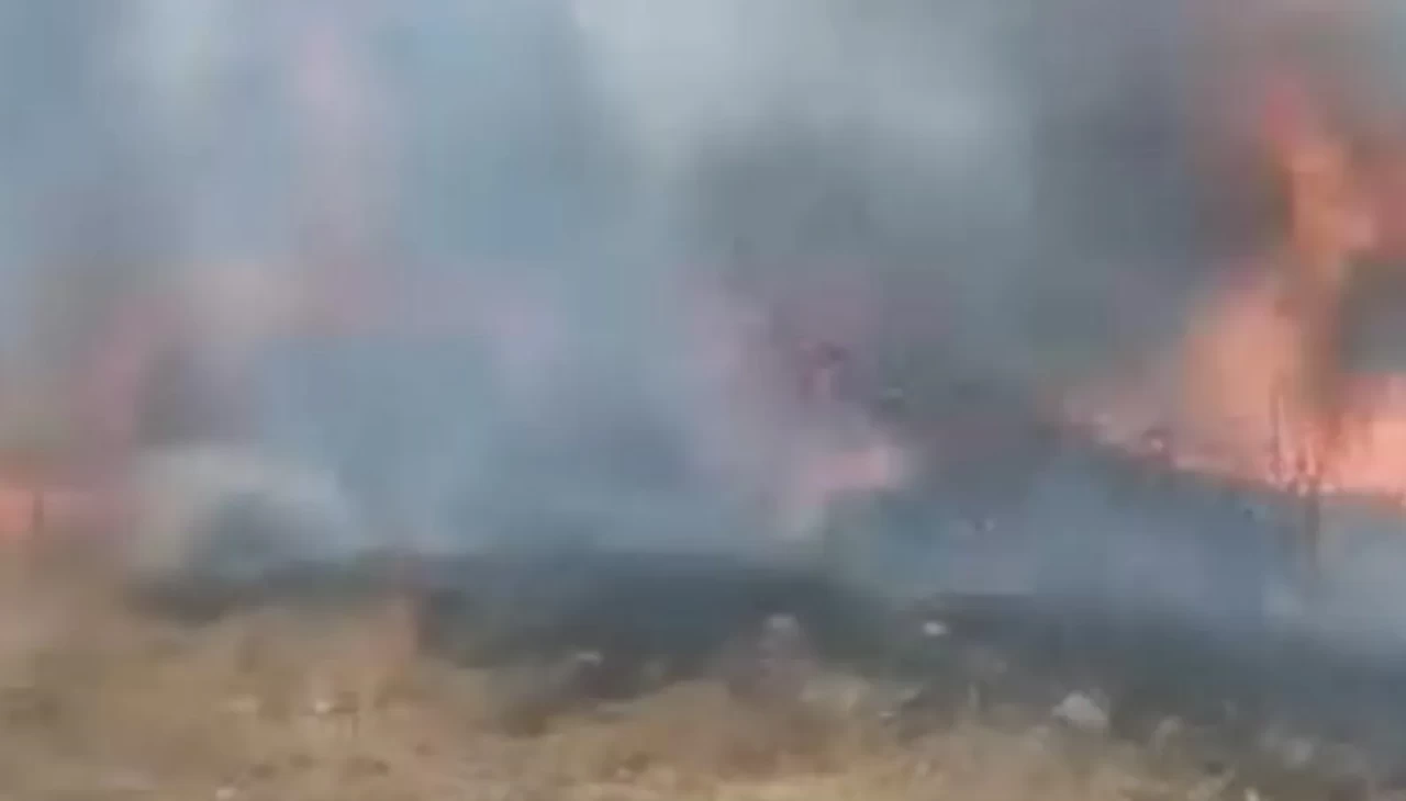 Karabük’te otluk alanda çıkan yangın korkuttu