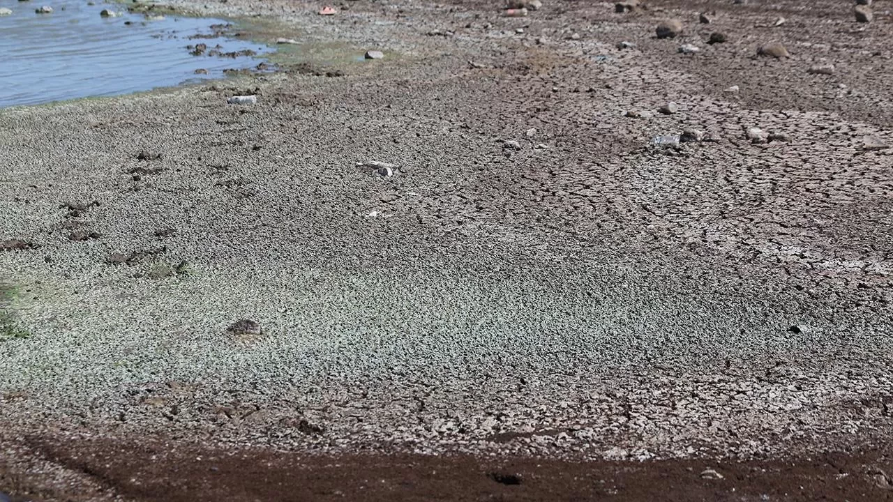 Son 65 yılın en kurak dönemi: Tarım ve su kaynakları "alarm" veriyor