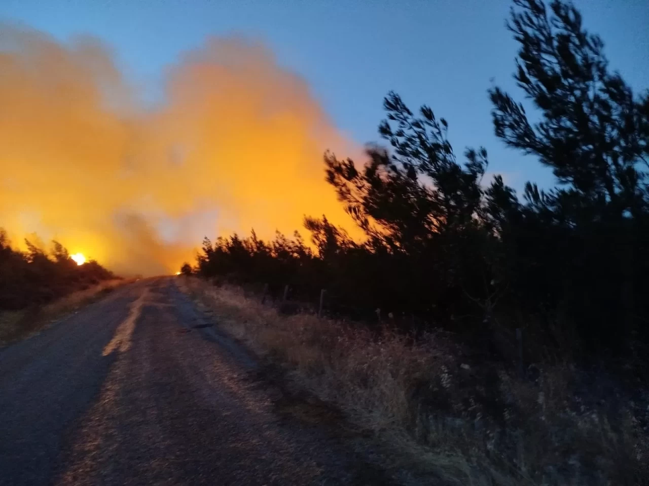 Çanakkale Bayramiç'teki yangını söndürme çalışmaları aralıksız sürüyor