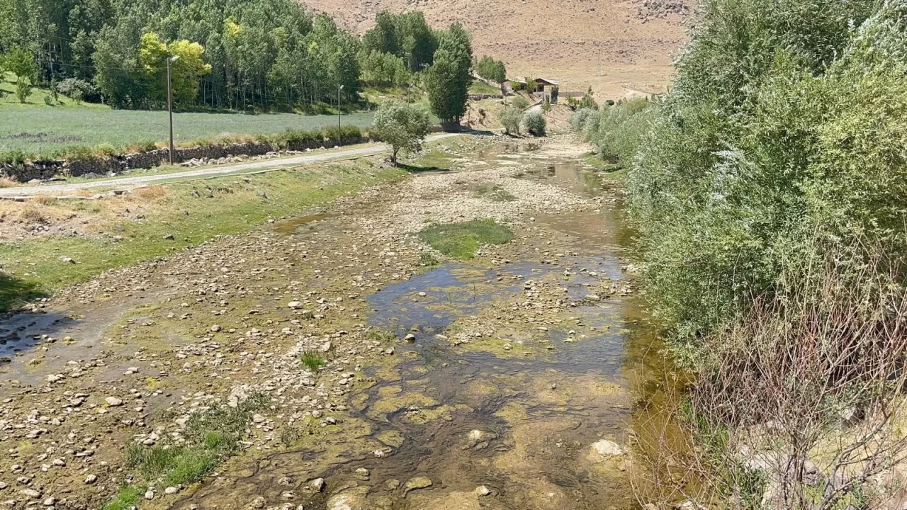 Bendimahi Çayı'nda su seviyesi düştü: Siraz balığı yavruları tehlikede