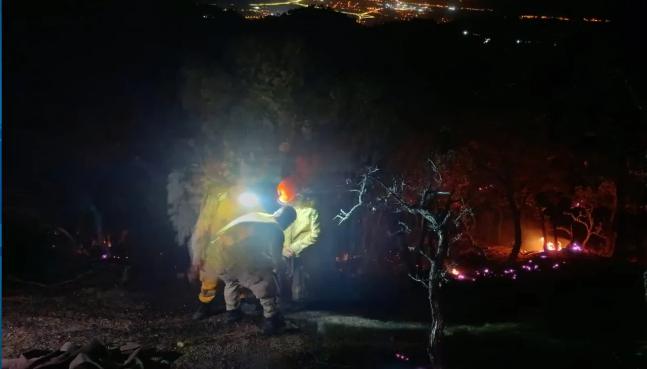 Denizli'deki orman yangını Aydın'a sıçradı!