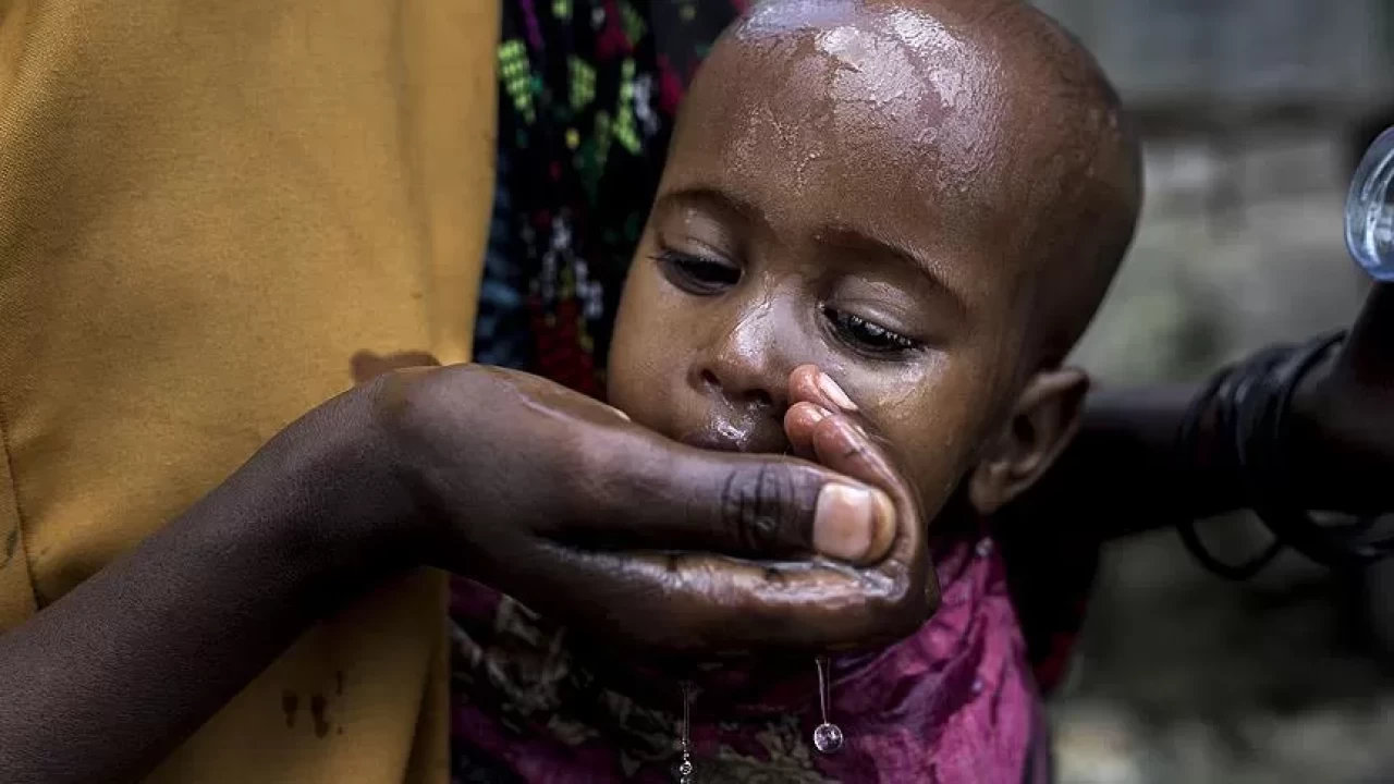 Gana: Afrika ülkeleri sağlık sistemlerinde tam egemenlik sağlamalı