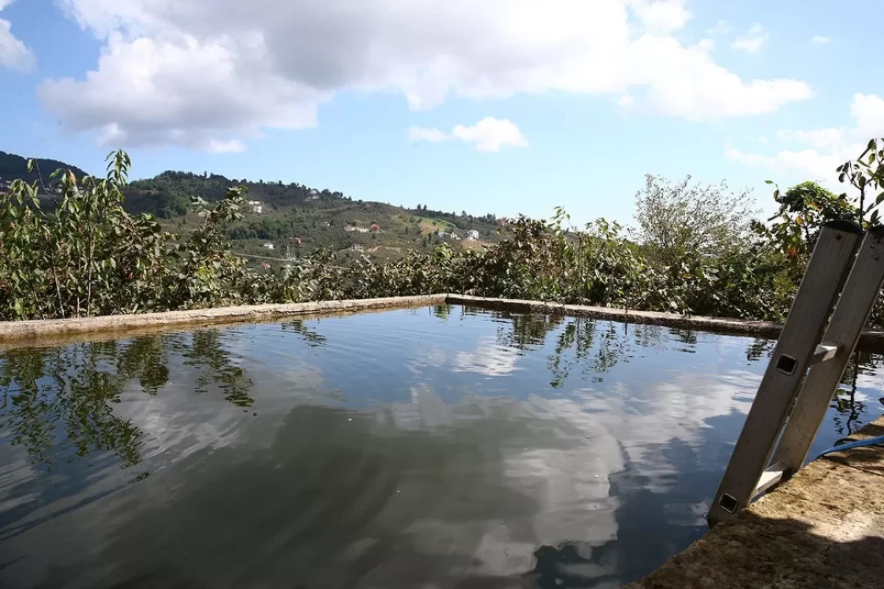Giresun’da damla sulama mucizesi: Baba-oğul fındık rekoltesini ikiye katladı!
