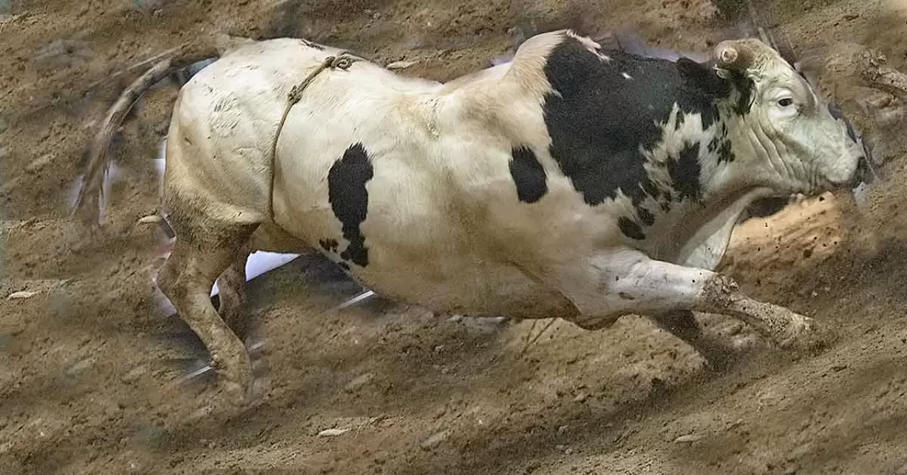 Rüyada İneğin Kovalaması Ne Anlama Gelir? İşte Detaylı Tabiri