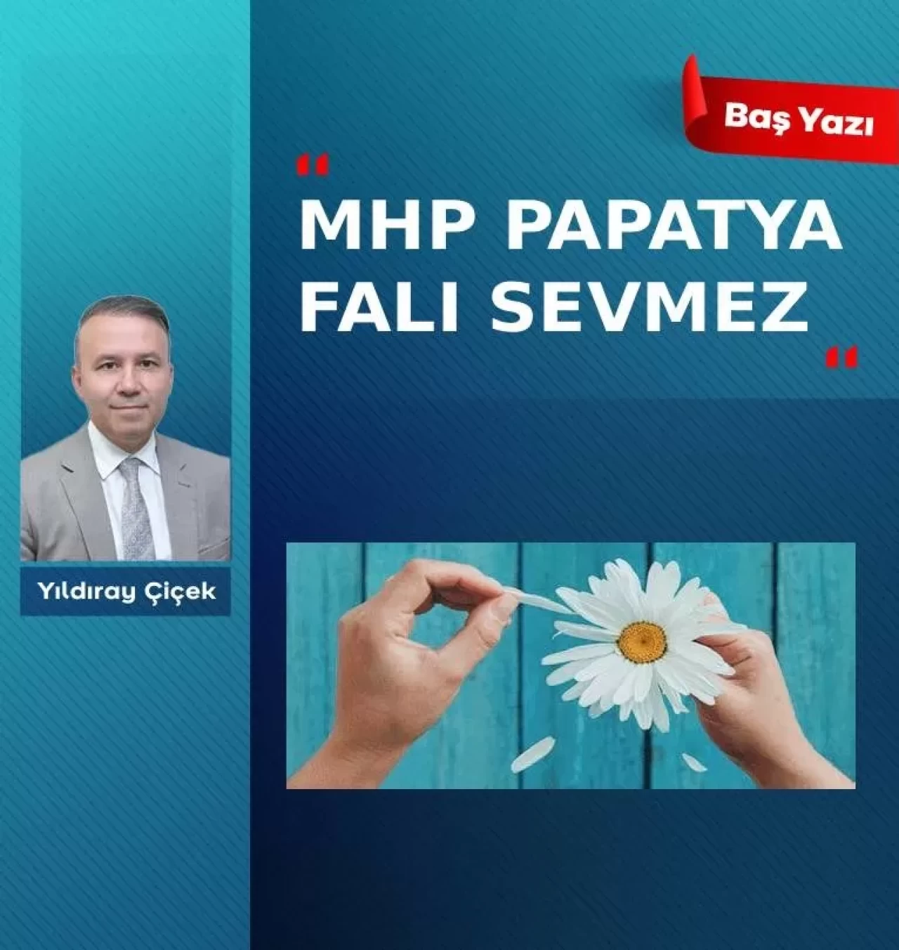 MHP papatya falı sevmez