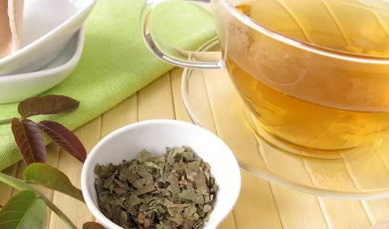 Ceviz yaprağı çayı nasıl yapılır? İşte sağlık dolu tarif