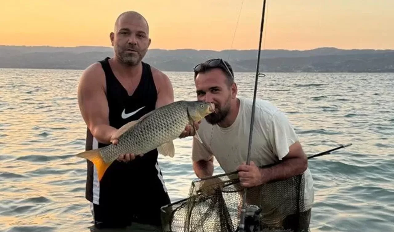 13 kilo sazan yakaladı: Öpüp suya geri saldı
