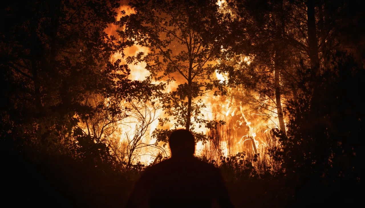 Gelibolu'da çıkan yangında, metrelerce uzaktan gelen kıvılcımın yayılma hızı görüntülendi