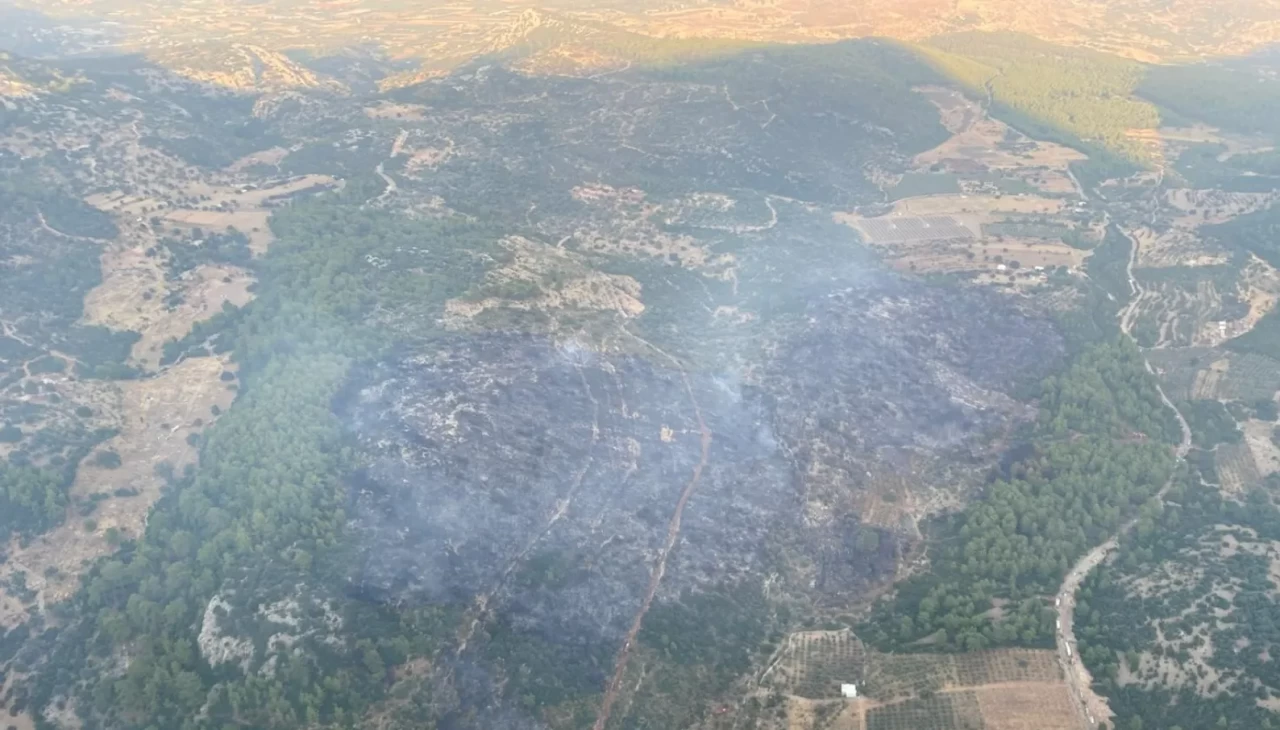 Muğla'daki orman yangını kontrol altına alındı