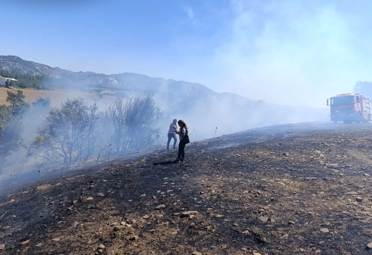 Adana'da çıkan orman yangını kontrol altına alındı