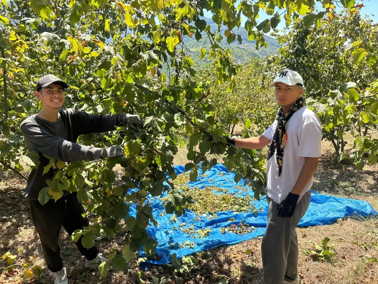 Fırsatçılık Tavan Yaptı! Tırpan Fiyatları 1 Ayda Katlandı, Üretici Ayaklandı