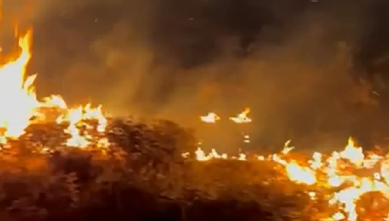 Bitlis’te örtü yangını