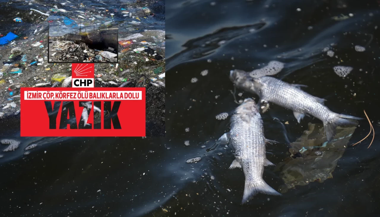 Lafa gelince mangalda kül bırakmazlar! İşte CHP belediyeciliği!