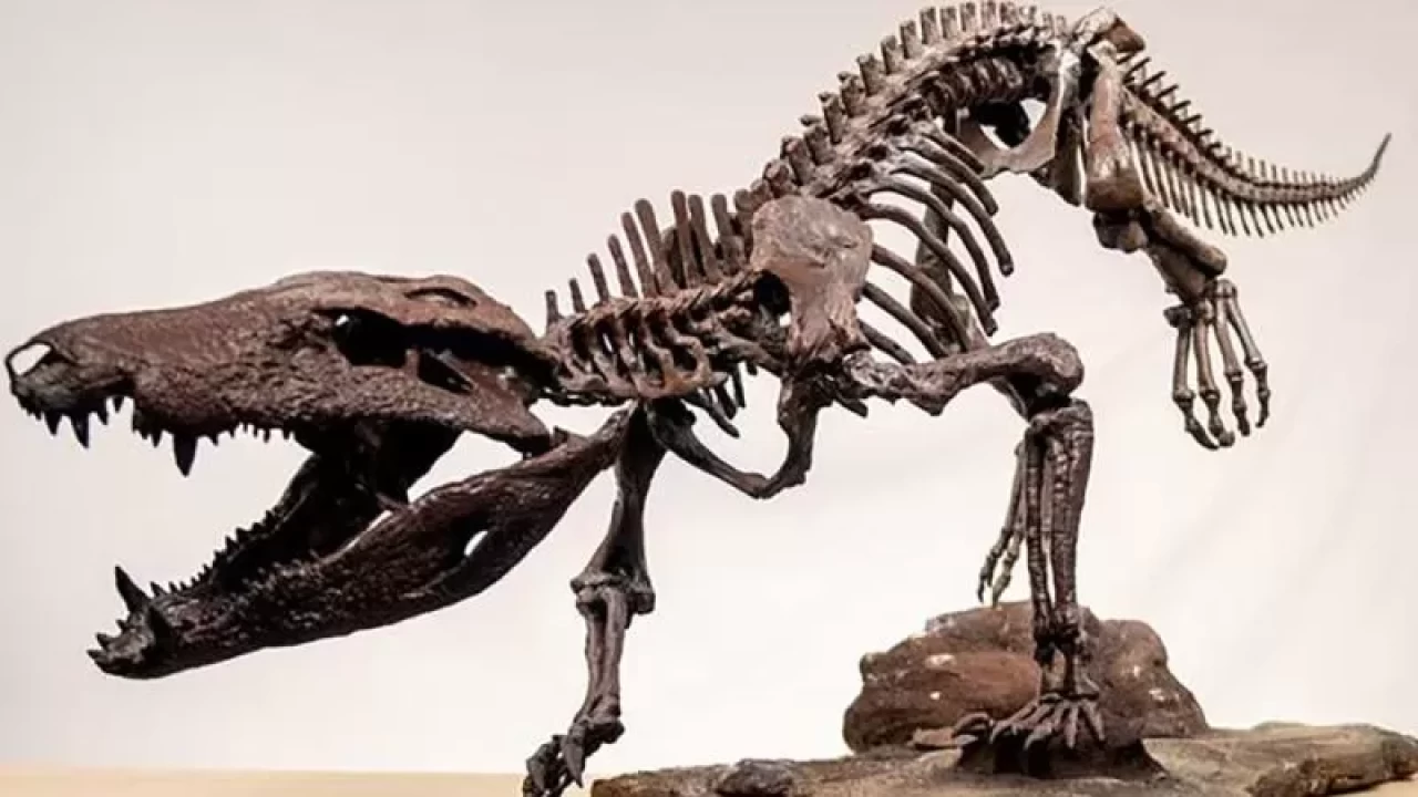 Dinozorlarla beslenen bir timsah keşfedildi