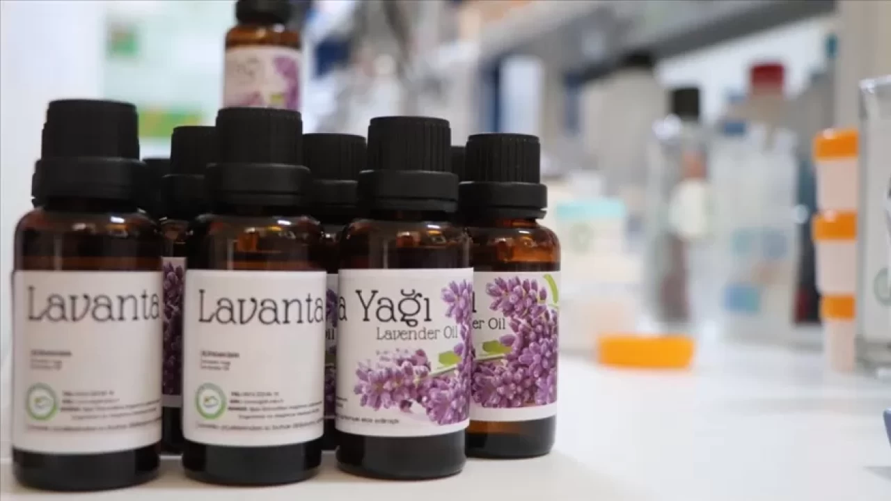 Lavanta yağıyla anında sakinleşin