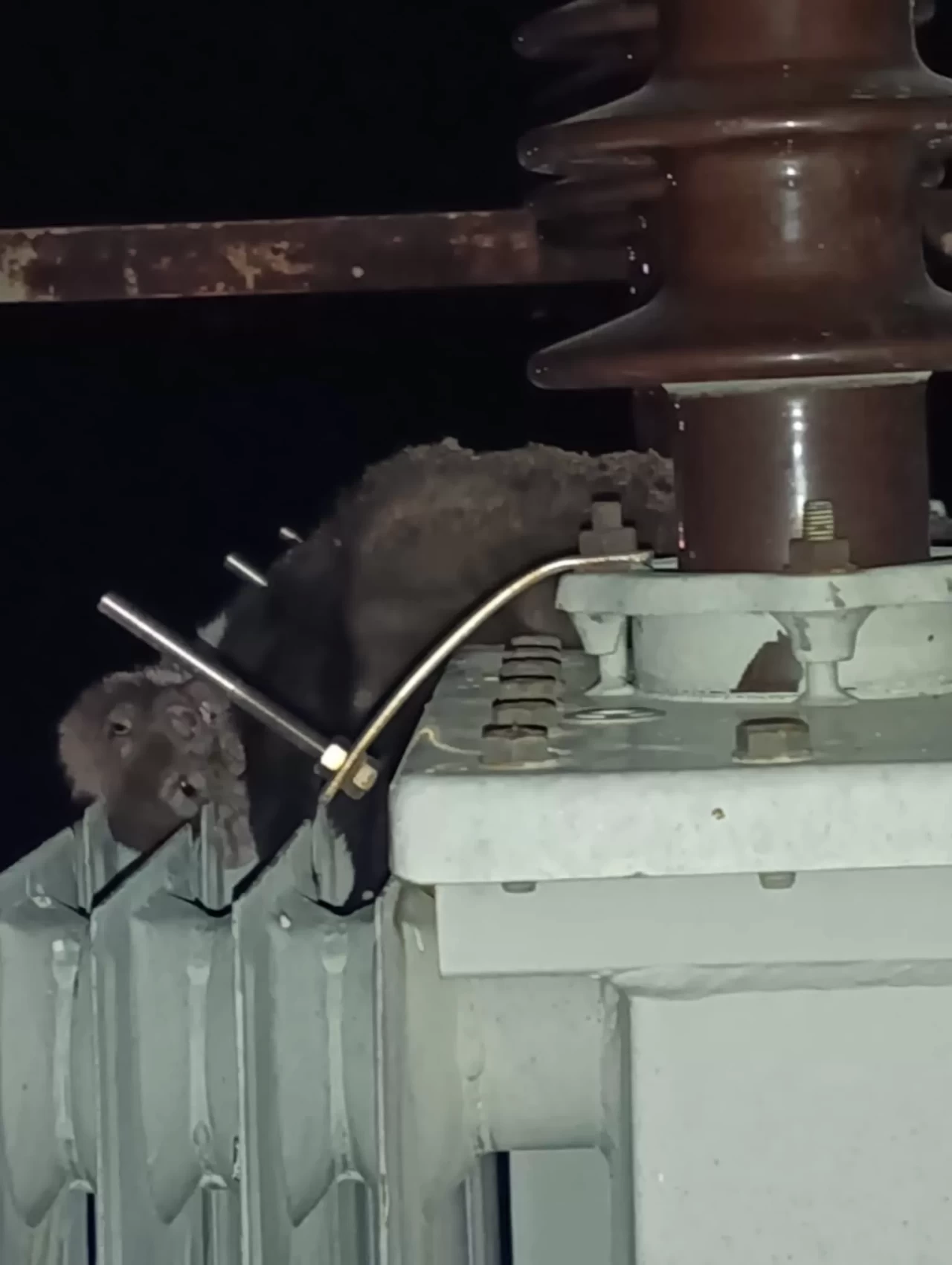 Konya'da elektrik kesintilerinin sebebi sansar çıktı