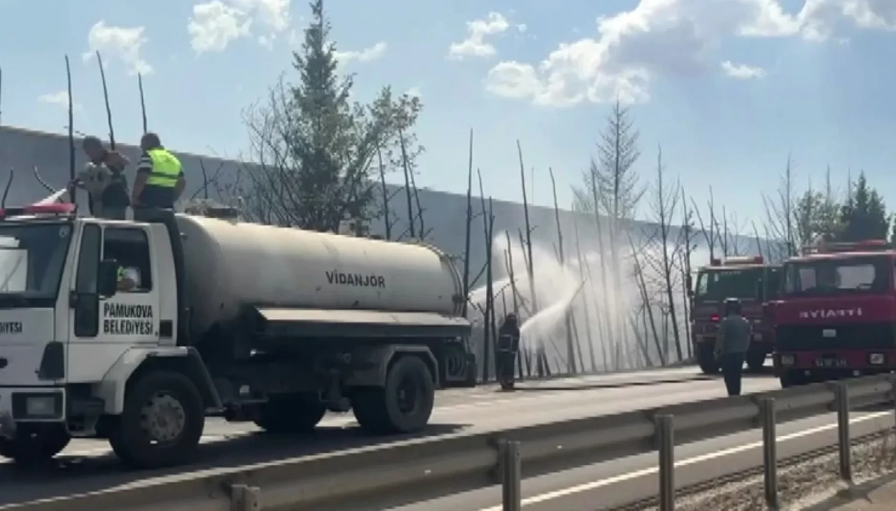 D-650’de korkutan yangın! Ağaçlar alev topuna döndü, trafik durduruldu