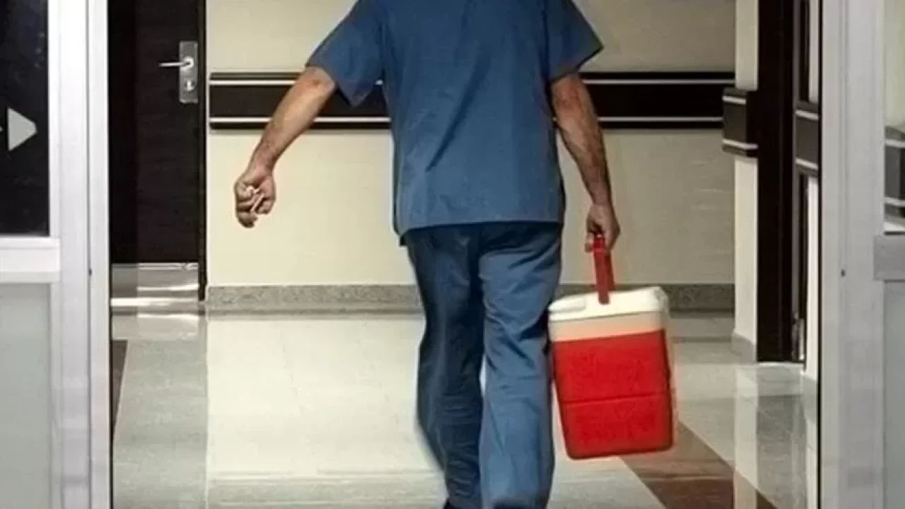 Resmi Gazete'de yayımlandı! Organ bağışında yeni dönem: e-Devlet ve e-Nabız üzerinden yapılabilecek