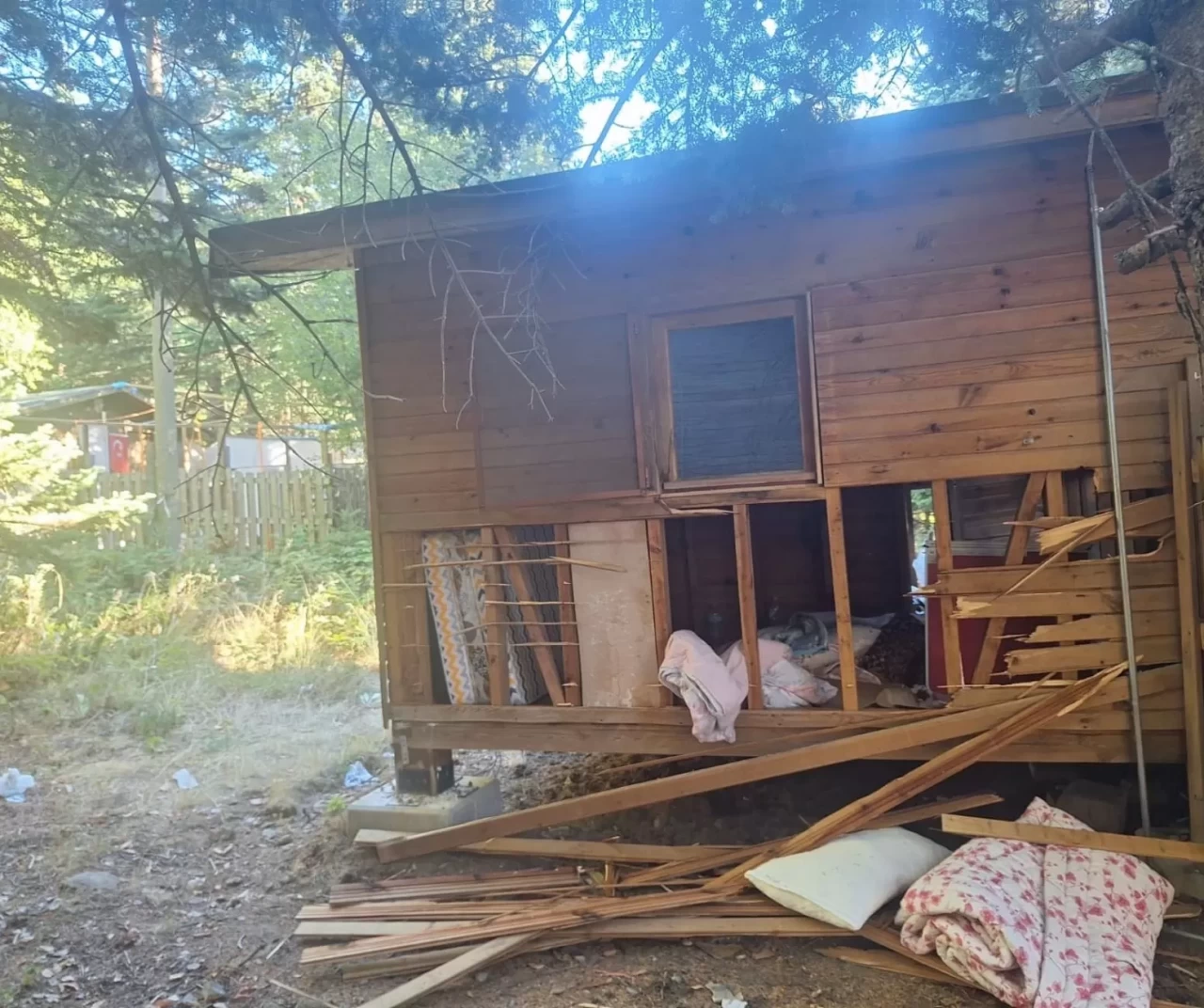 Uludağ’da ayılar barakaları talana dönüştürdü