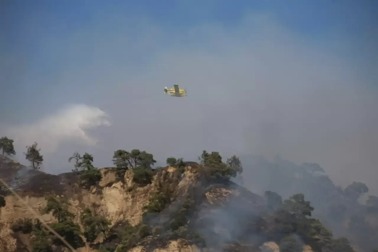 Aydın'da zeytinlik ve ormanlık alanda çıkan yangına müdahale ediliyor