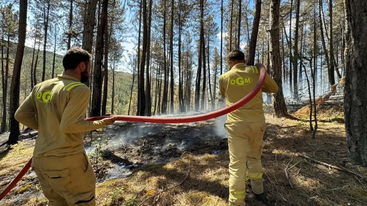 Karabük’te orman yangını! Müdahale 3 gündür sürüyor