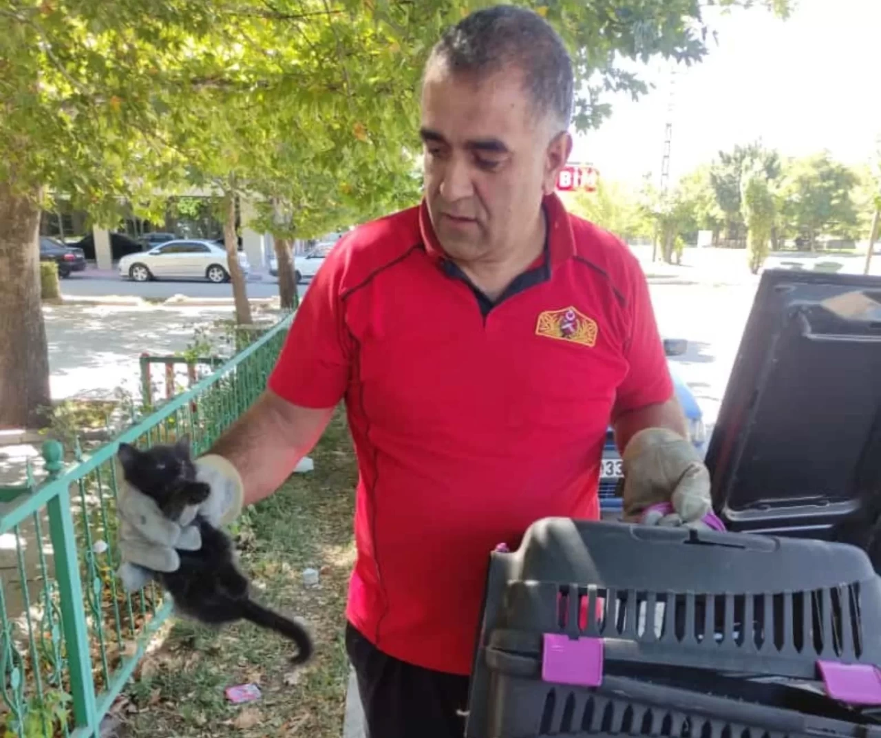 Erzincan’da otomobil motoruna sıkışan kedi yavrusu itfaiye tarafından kurtarıldı