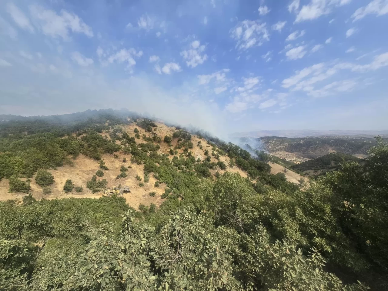 Bingöl'de orman yangını: Ekiplerin müdahalesi sürüyor