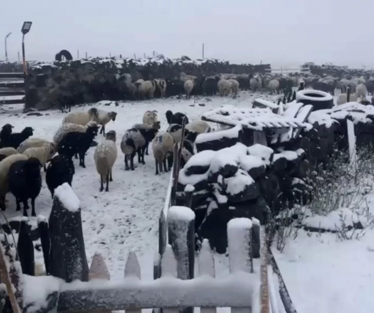 Artvin yaylaları şaşırttı: Yaz daha bitmeden kış selam verdi!
