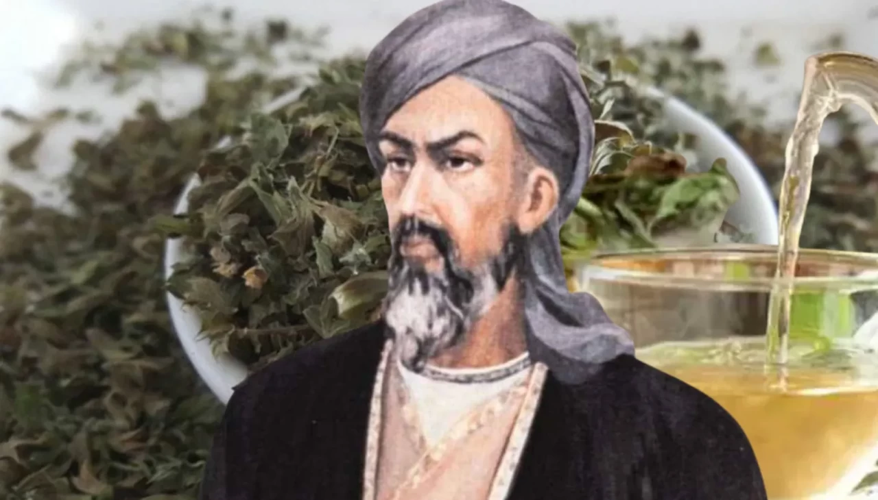 Tüm ilaçları bir kenara bırakın! İbni Sina’nın Bitkisel Sakinleştirici Yöntemleri