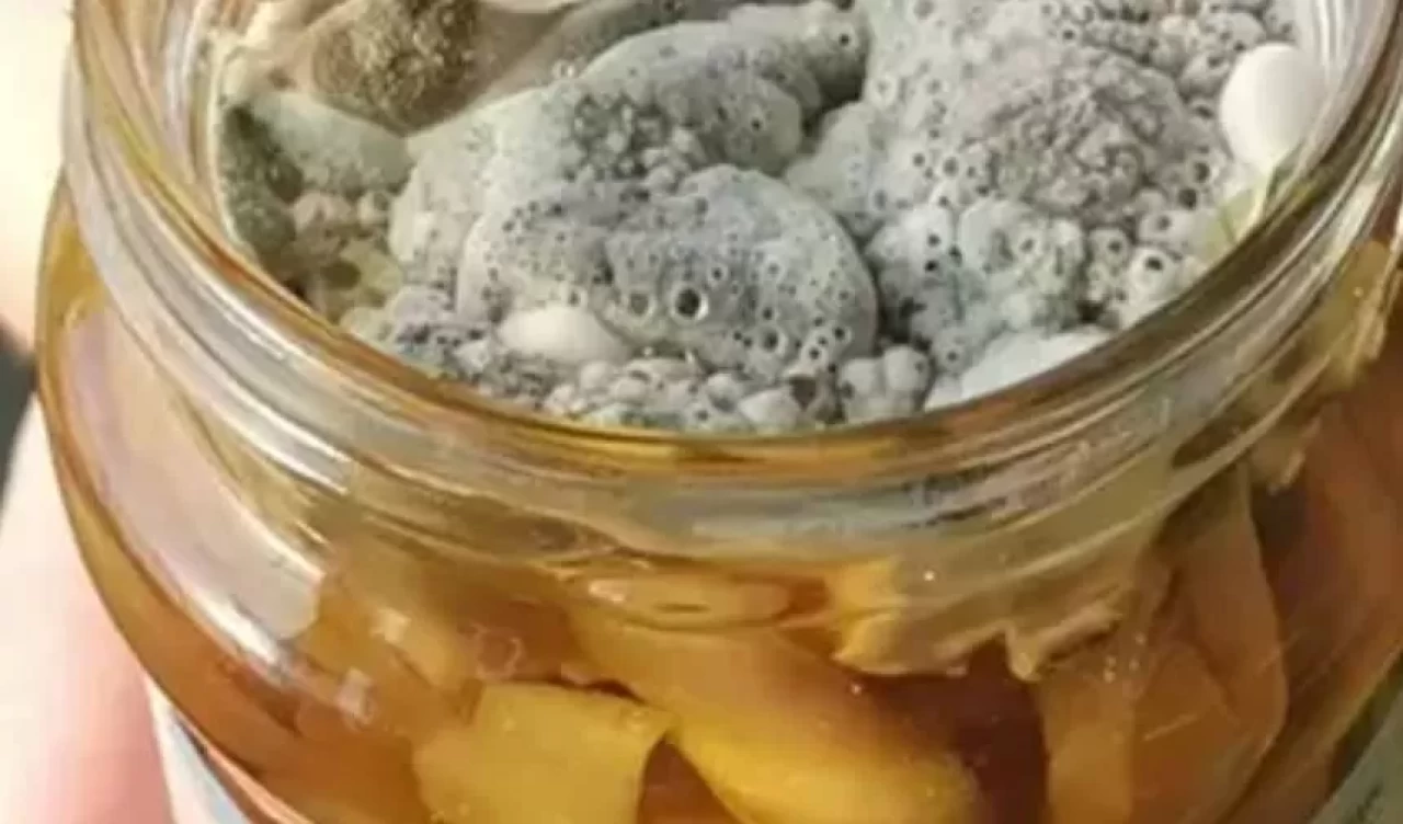 Turşunun üstündeki beyaz köpük zararlı mı?