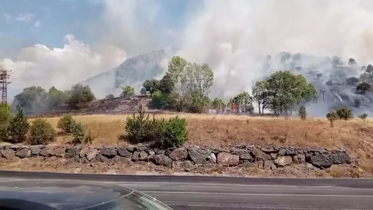 Sivas'ta ağaçlık alanda yangın