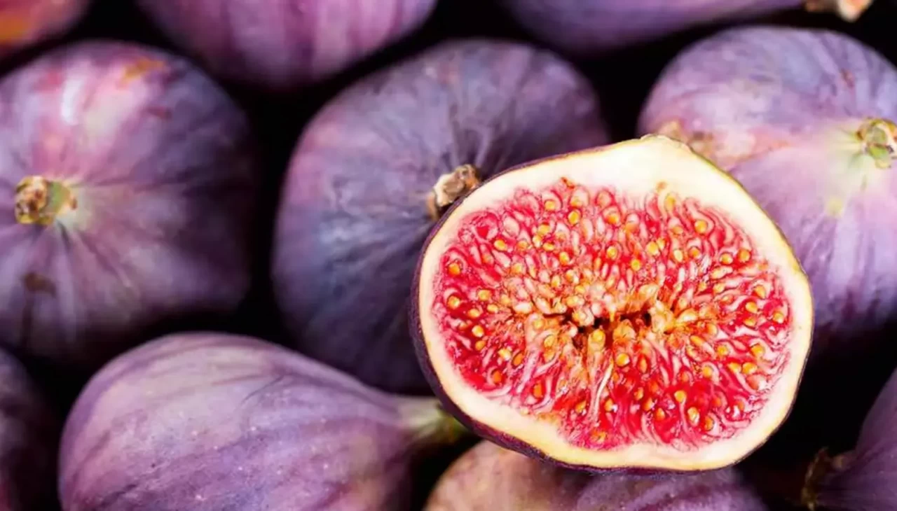 Yüze incir sürmenin şaşırtıcı faydaları