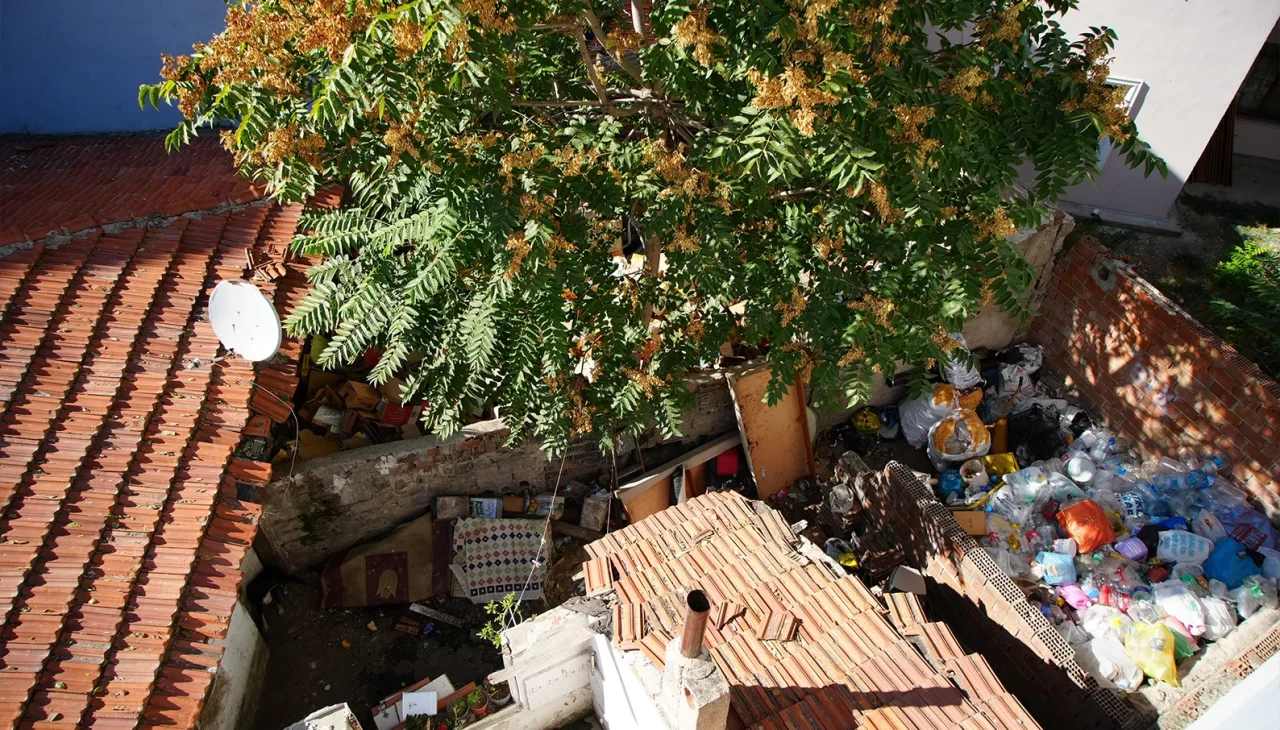 Edirne'de mahallede fare paniği