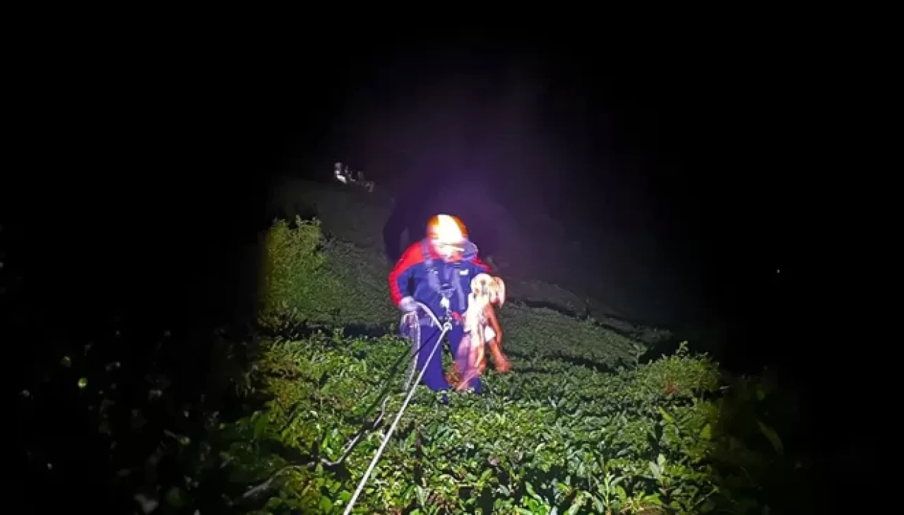 Rize'de uçurumdan düşen turist hayatını kaybetti