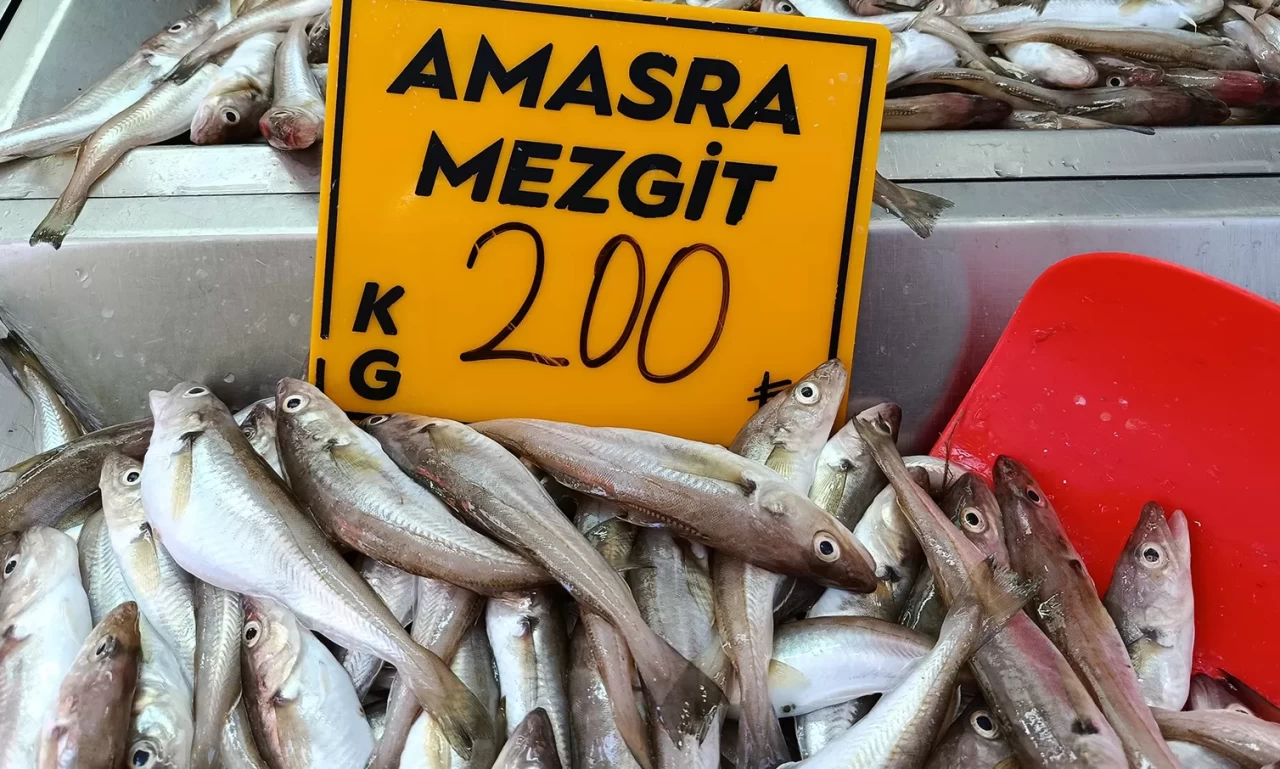 Balıkçılar palamut için "kestane karası"nı bekliyor