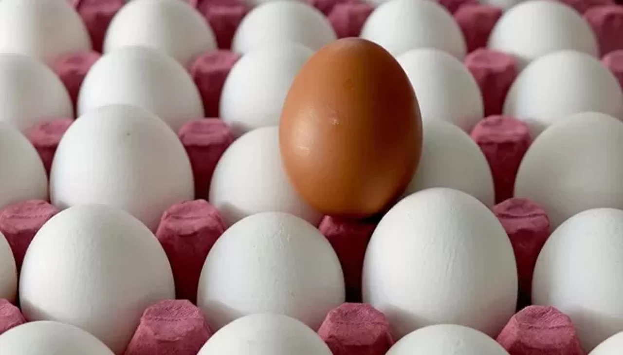 TÜİK açıkladı: Yumurta üretimi yıllık bazda yüzde 4,9 azaldı