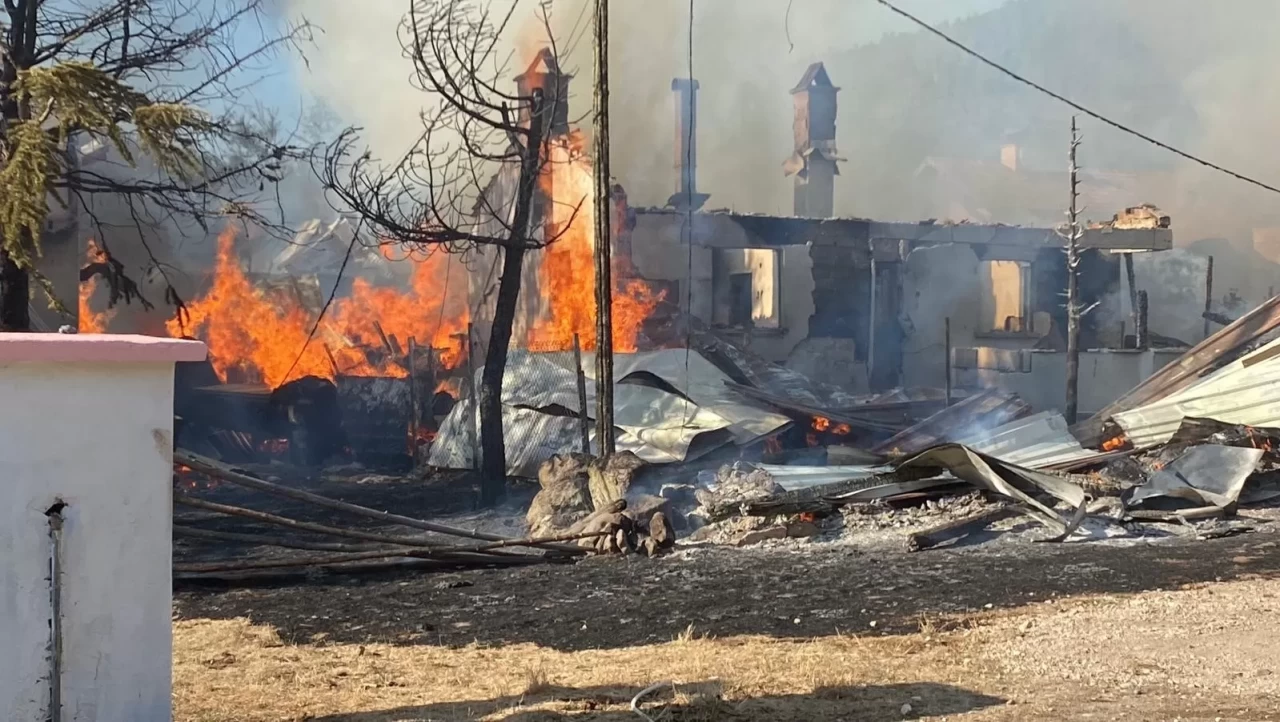 Bolu'da yaylada 12 yapı küle döndü: Kundaklama şüphesi