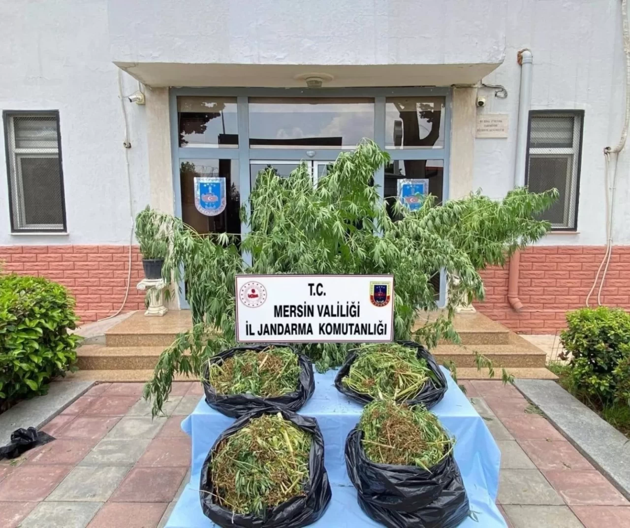 Mersin’de zehir tacirlerine darbe: Tonlarca uyuşturucu ele geçirildi