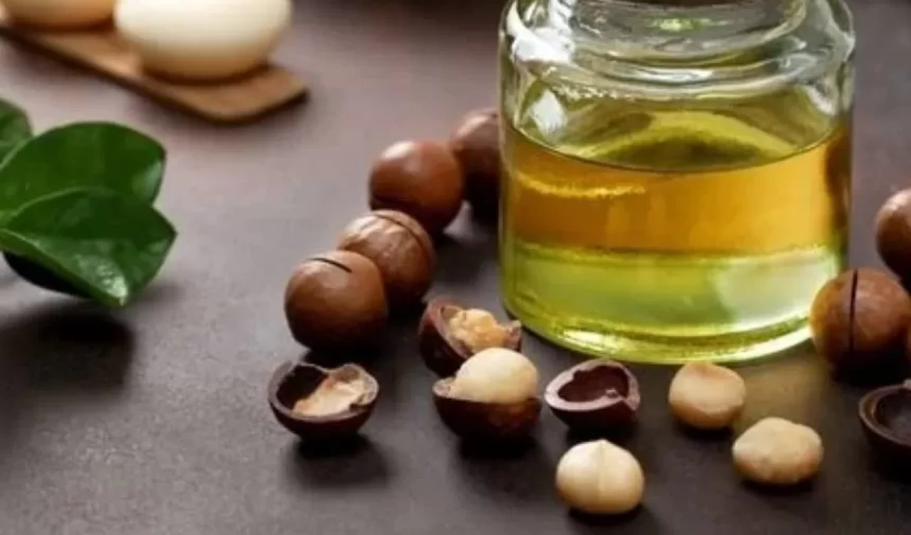 Macadamia yağı nedir? Faydaları ve kullanım alanları
