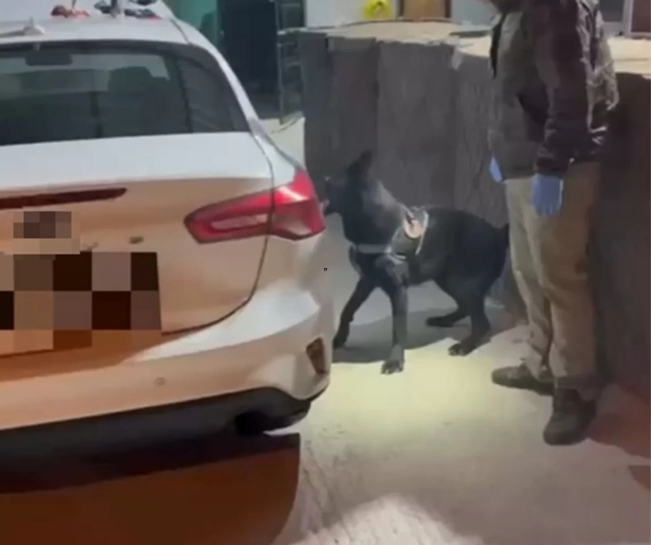 Dedektör köpek Tony, araçta uyuşturucuyu ortaya çıkardı: 3 gözaltı