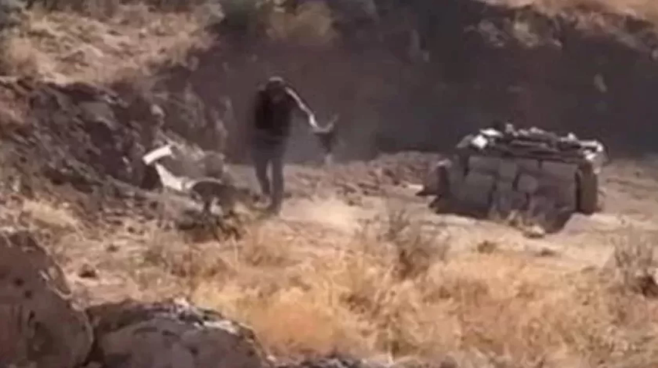 Dört aylık köpeğe şiddet uygulayan kişi gözaltına alındı