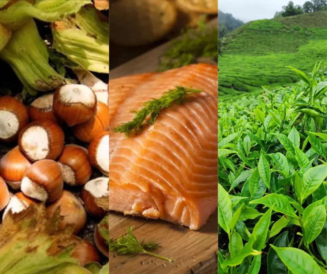 Doğu Karadeniz lezzetleri Moskova’da tanıtıldı