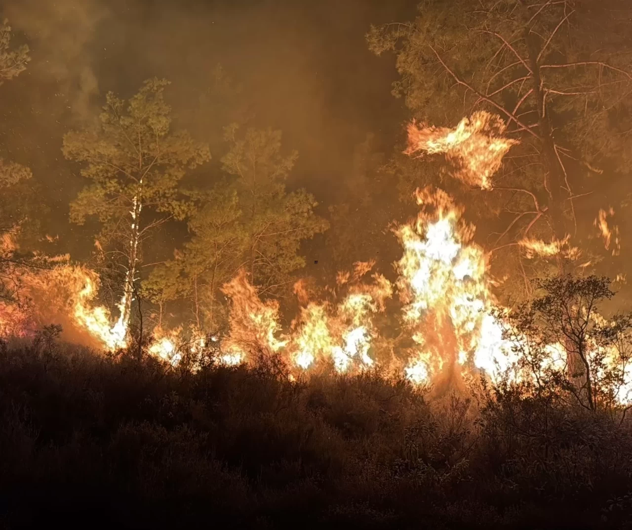 Alanya'da alevlerle mücadele devam ediyor