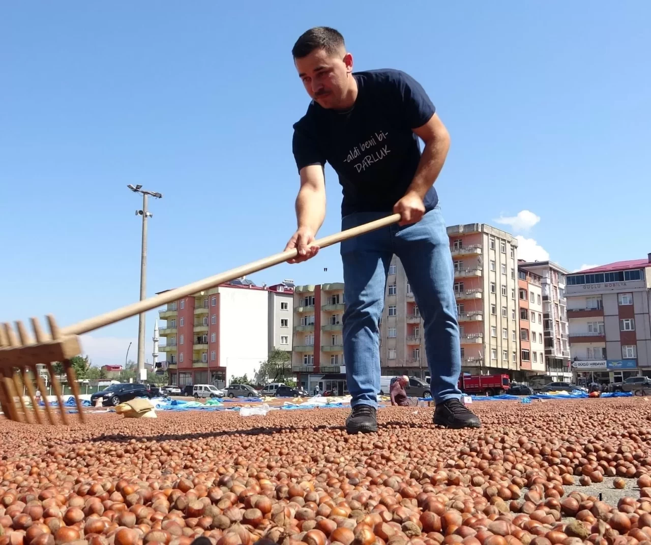 1 ton fındığa kamyonet! İlginç takas Türkiye’de gerçekleşti