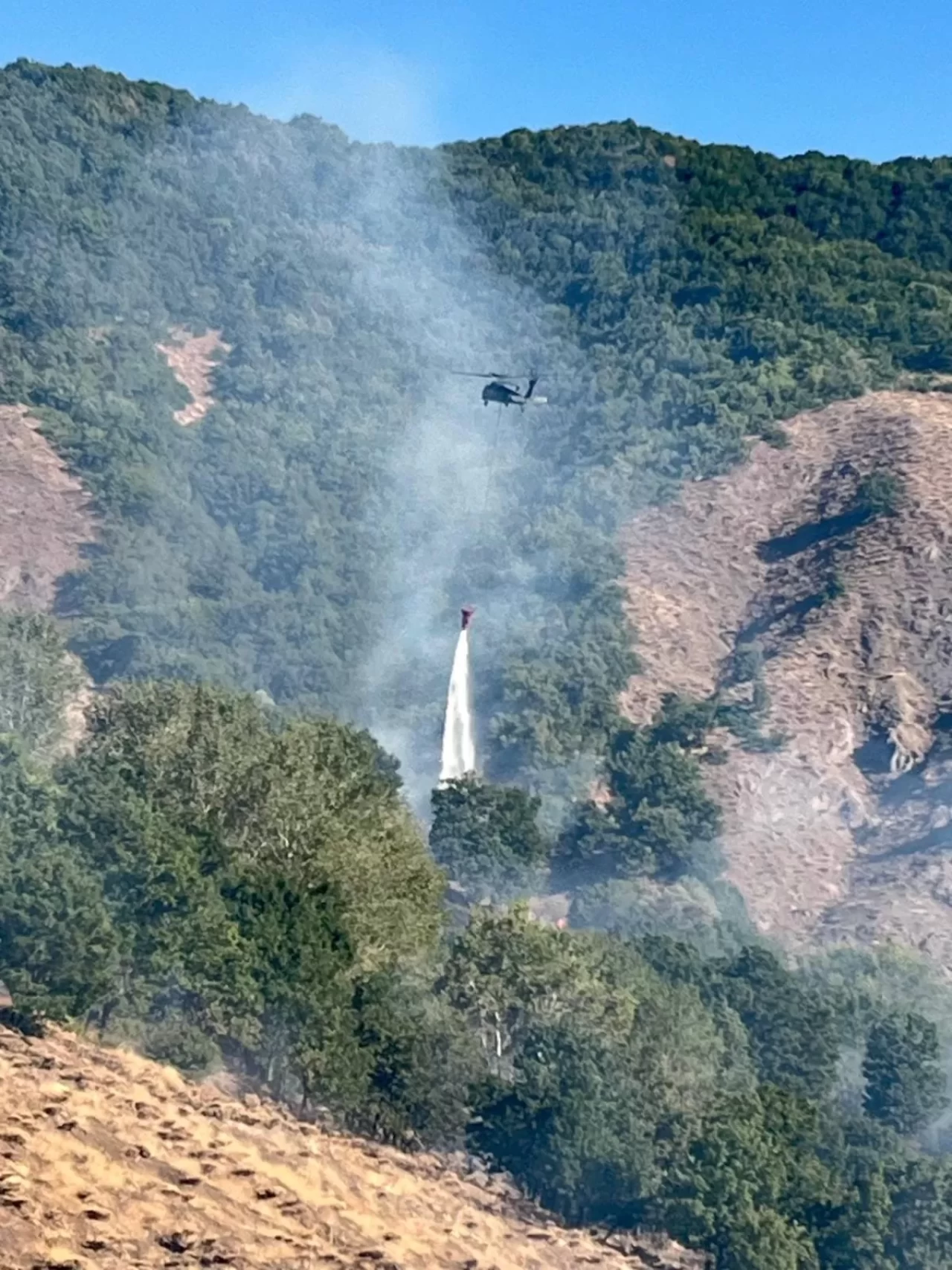 Tunceli'de çıkan orman yangını kontrol altına alındı