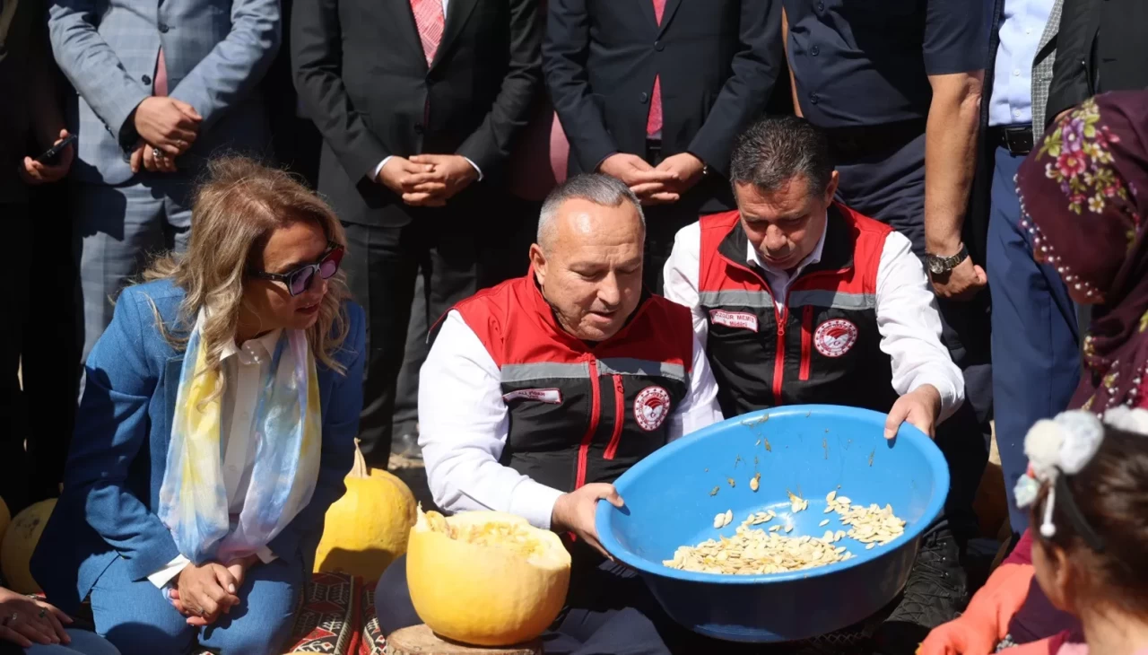 Nevşehir’de kabak çekirdeği hasadı başladı