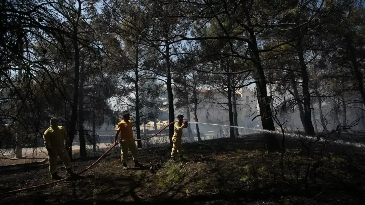 Çanakkale'de ormanlık alanda çıkan yangın kontrol altına alındı