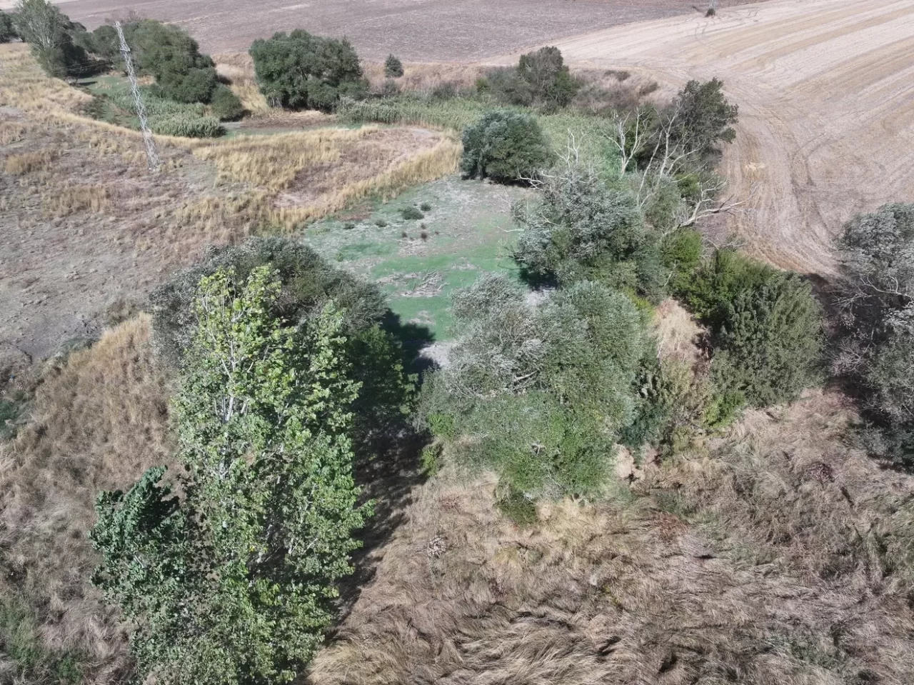 Edirne'deki Musabeyli Göleti kuraklık nedeniyle tamamen kurudu